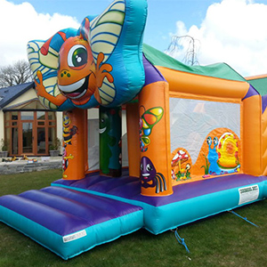 Bugs Obstacle Course Fermoy
